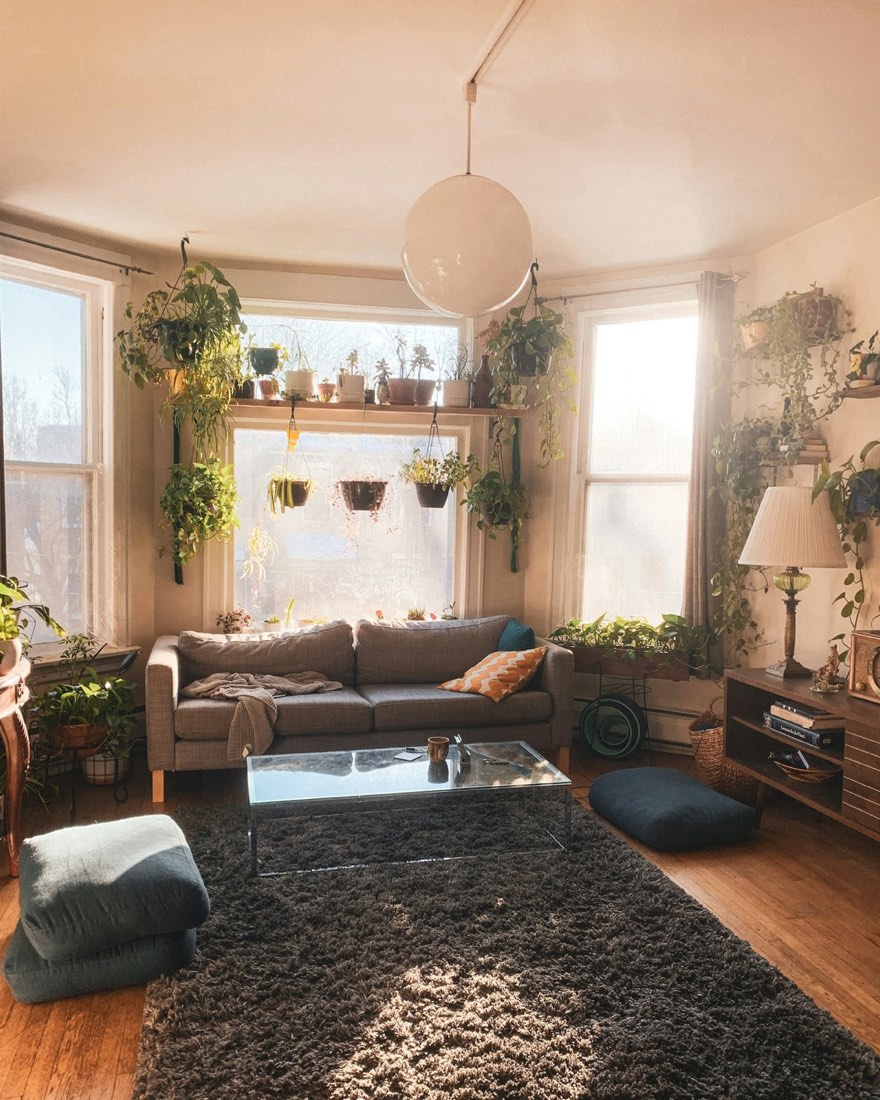Beispielbild: helles Wohnzimmer mit vielen Pflanzen